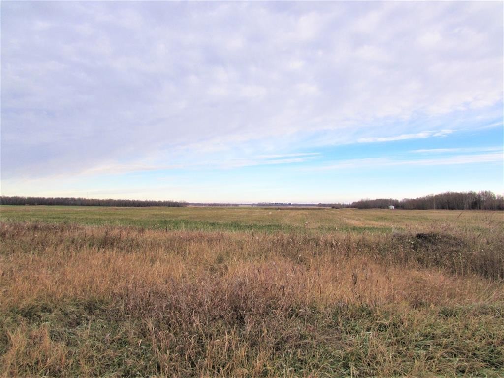 106 Alberta Street, Kingman, AB