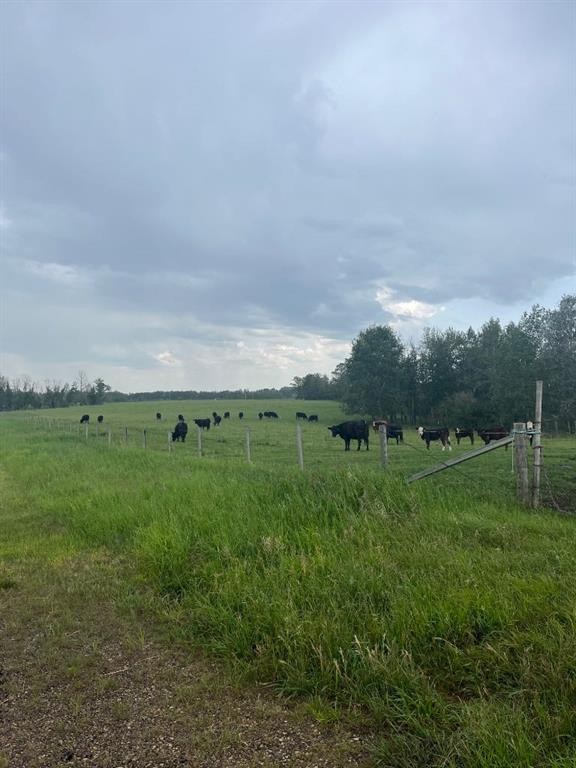 70 Acres Se Of Innisfial, Rural Red Deer County, AB