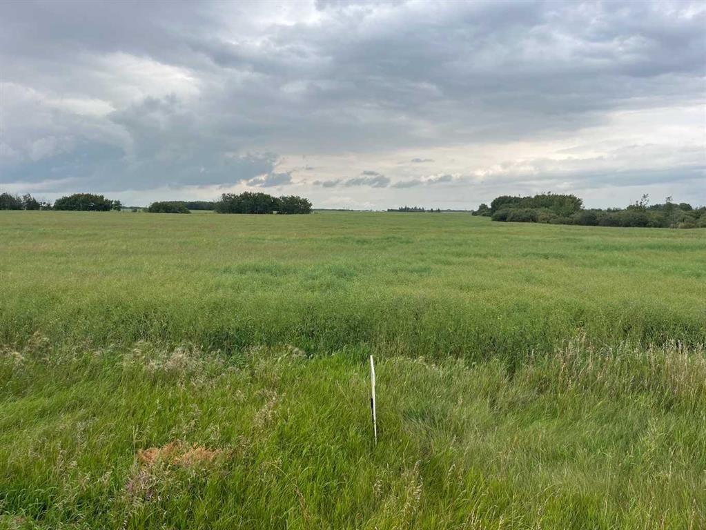 316 Niblock Street, Bawlf, AB