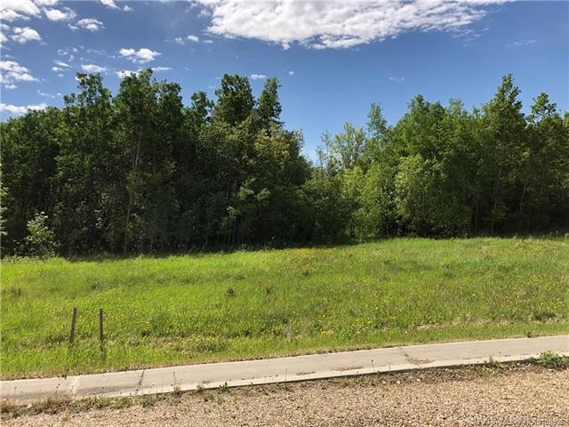 Lot 4 44 Avenue Close, Alix, AB