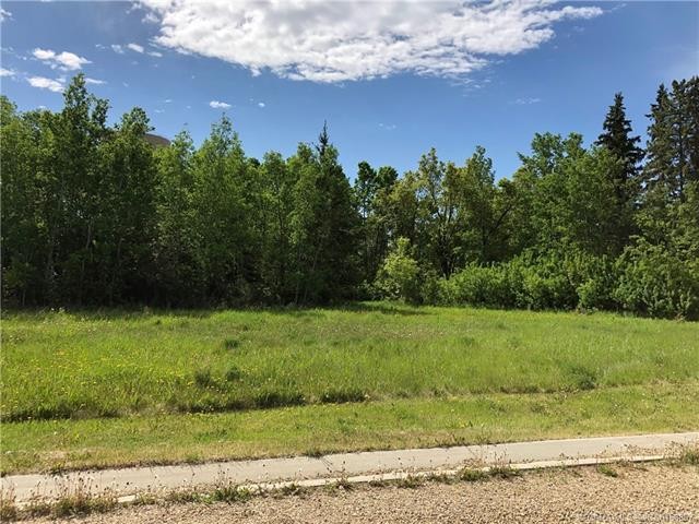 Lot 5 44 Avenue Close, Alix, AB