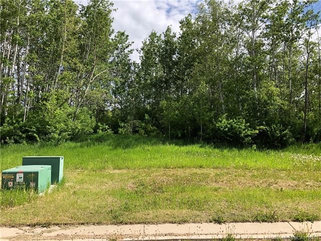Lot 8 44 Avenue Close, Alix, AB