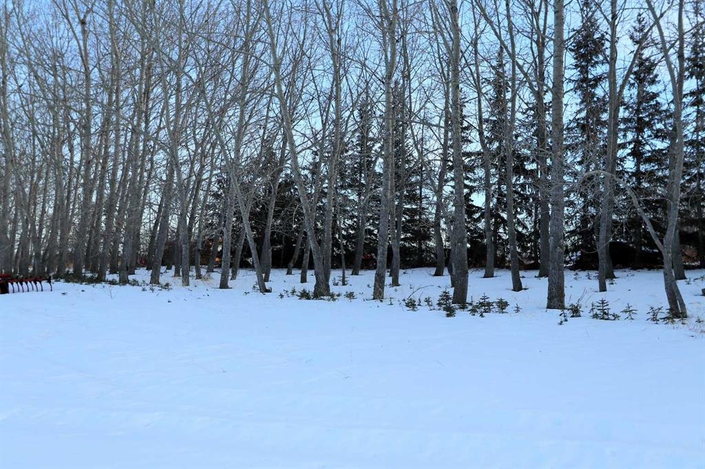On Township Road 424, Rural Ponoka County, AB
