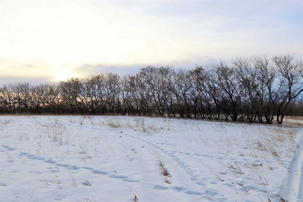 On Township Road 424, Rural Ponoka County, AB