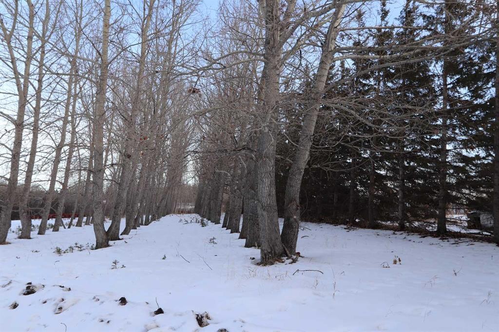 On Township Road 424, Rural Ponoka County, AB