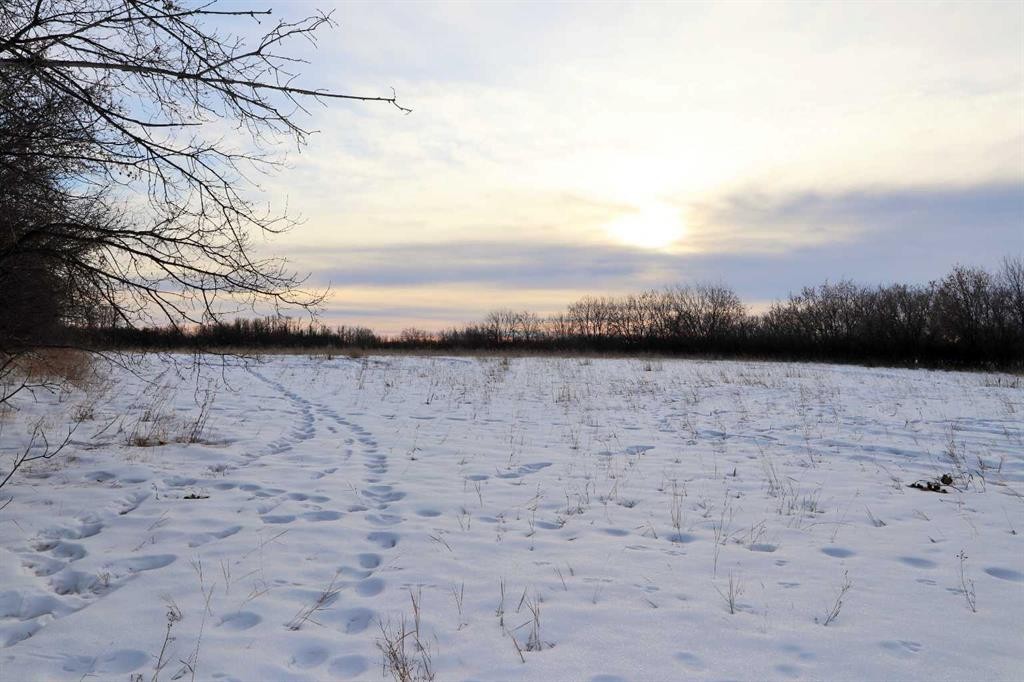 On Township Road 424, Rural Ponoka County, AB