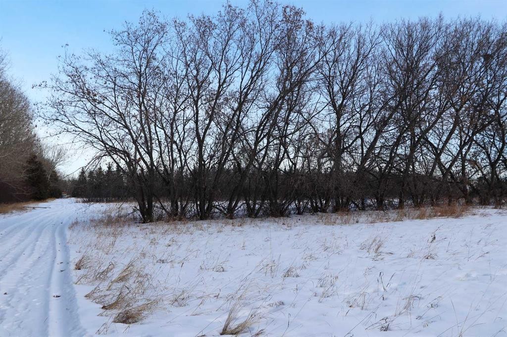 On Township Road 424, Rural Ponoka County, AB