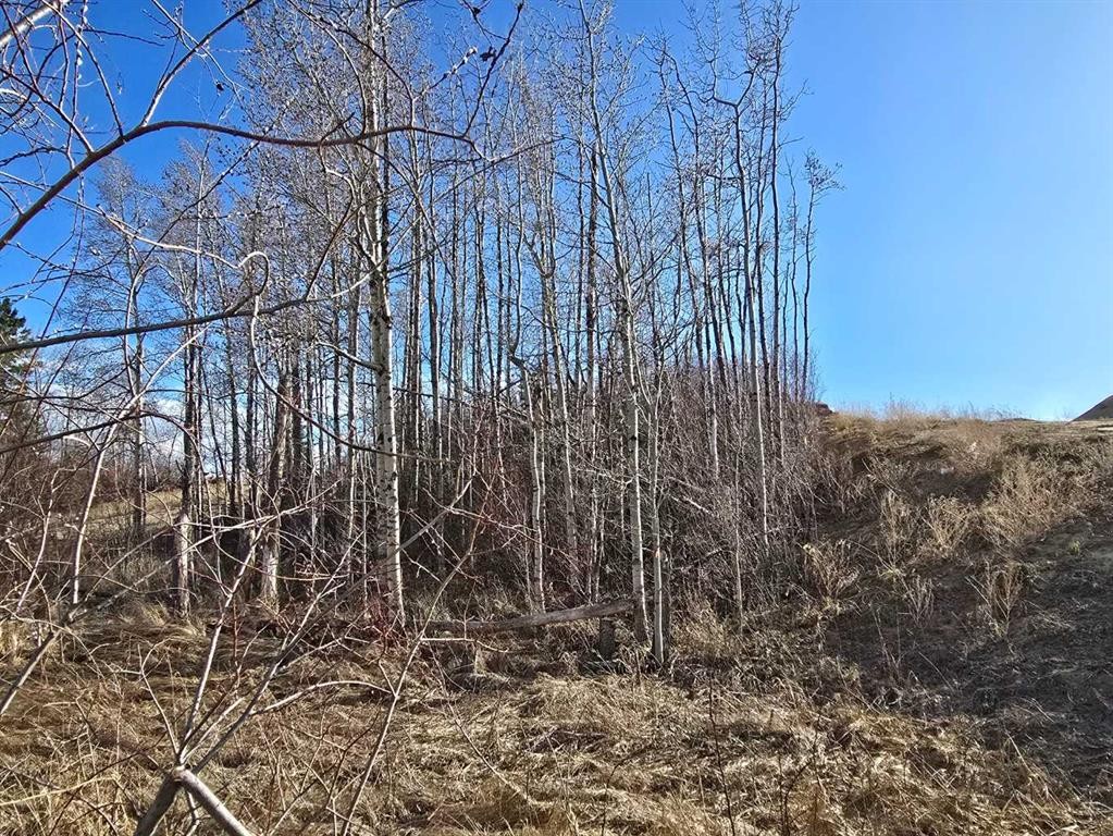 309 Wolf Run Drive, Rural Ponoka County, AB
