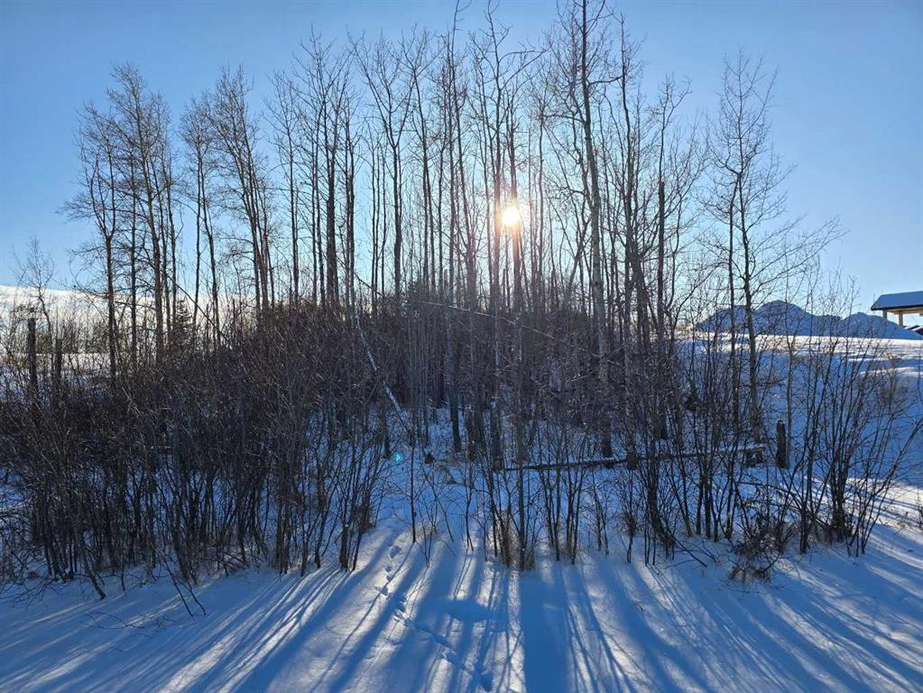 309 Wolf Run Drive, Rural Ponoka County, AB