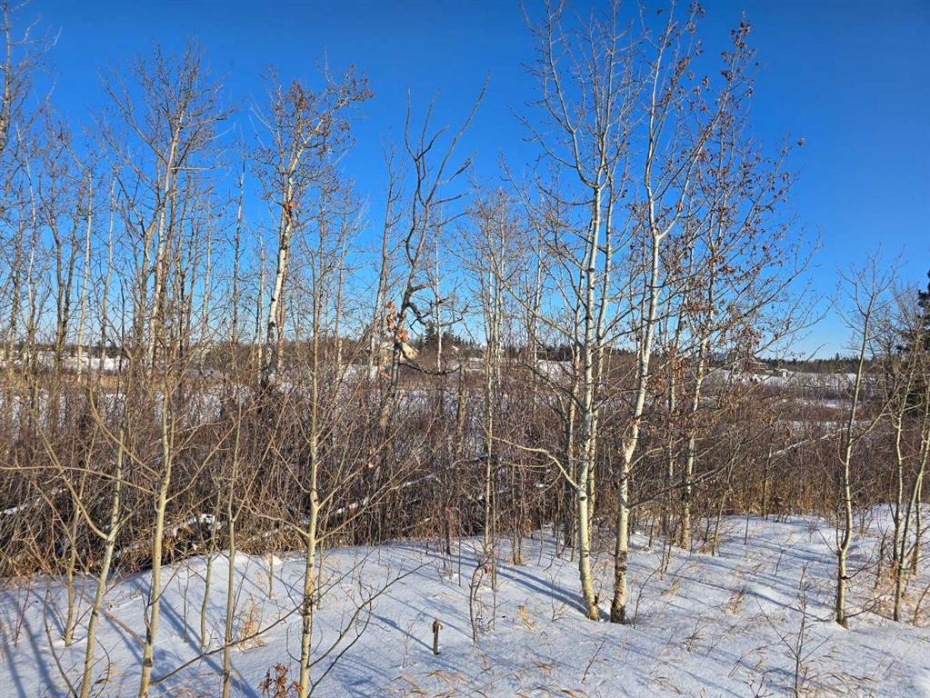 309 Wolf Run Drive, Rural Ponoka County, AB