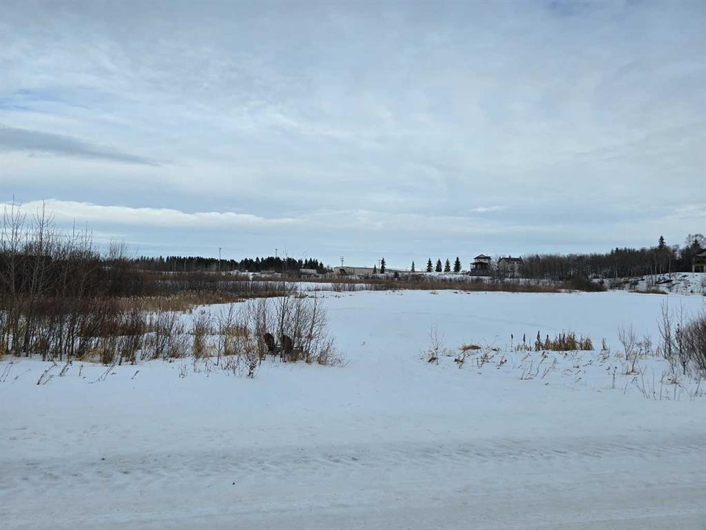 309 Wolf Run Drive, Rural Ponoka County, AB