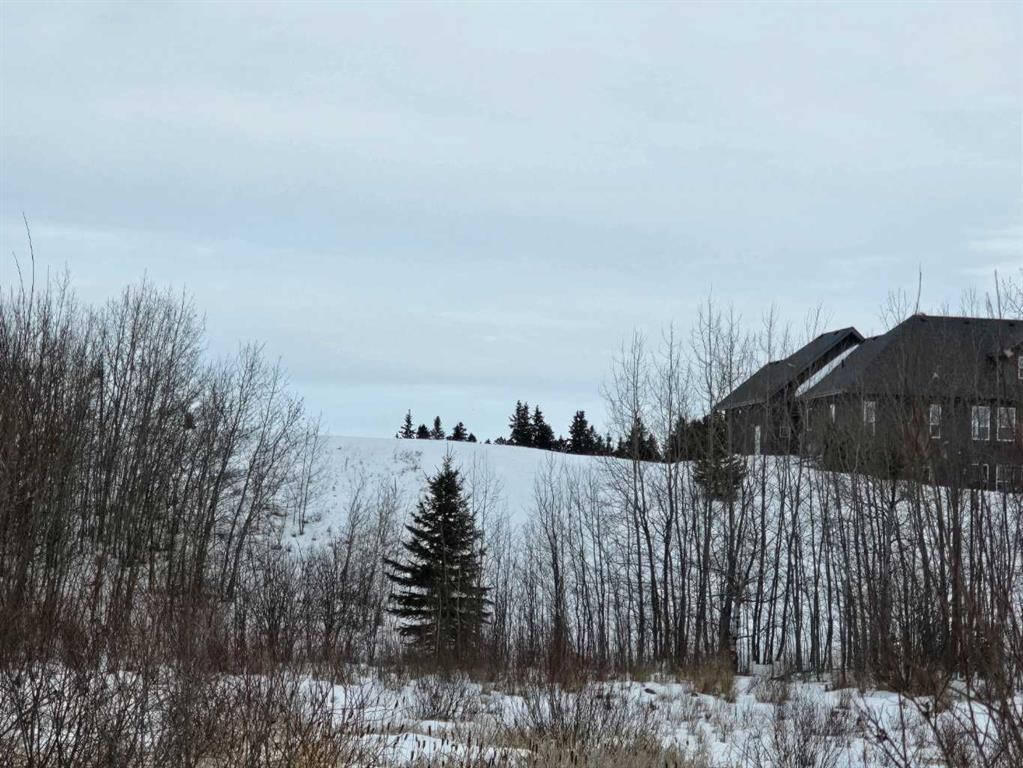 309 Wolf Run Drive, Rural Ponoka County, AB