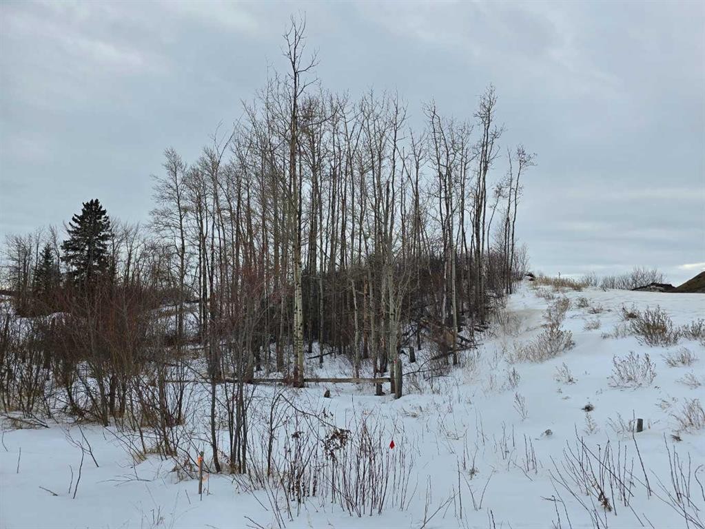 309 Wolf Run Drive, Rural Ponoka County, AB