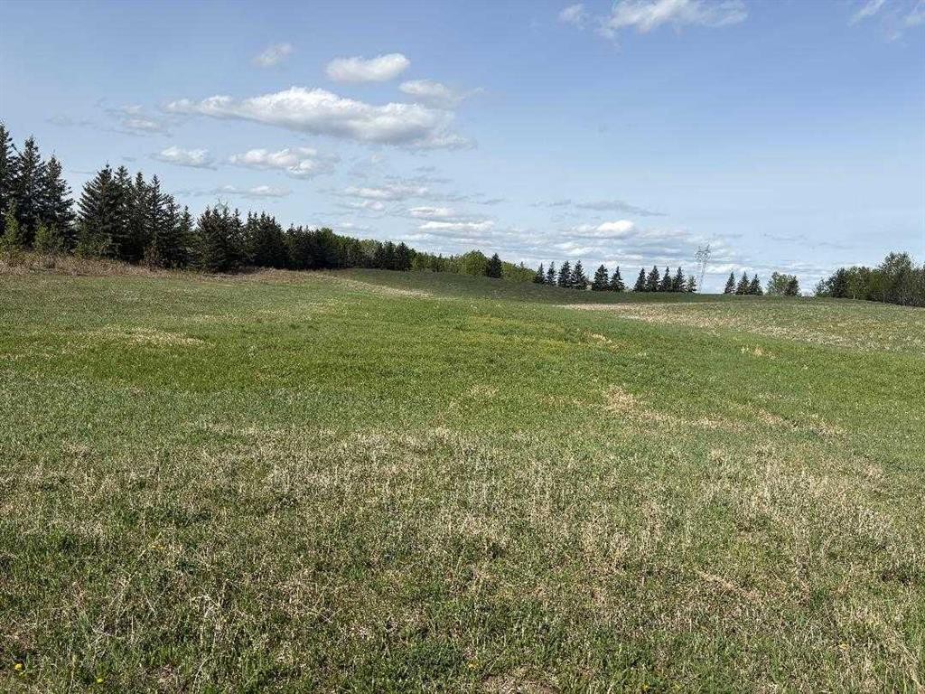 Twp 512A Rr 31, Rural Leduc County, AB