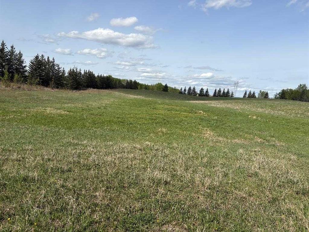 Twp 512A Rr 31, Rural Leduc County, AB