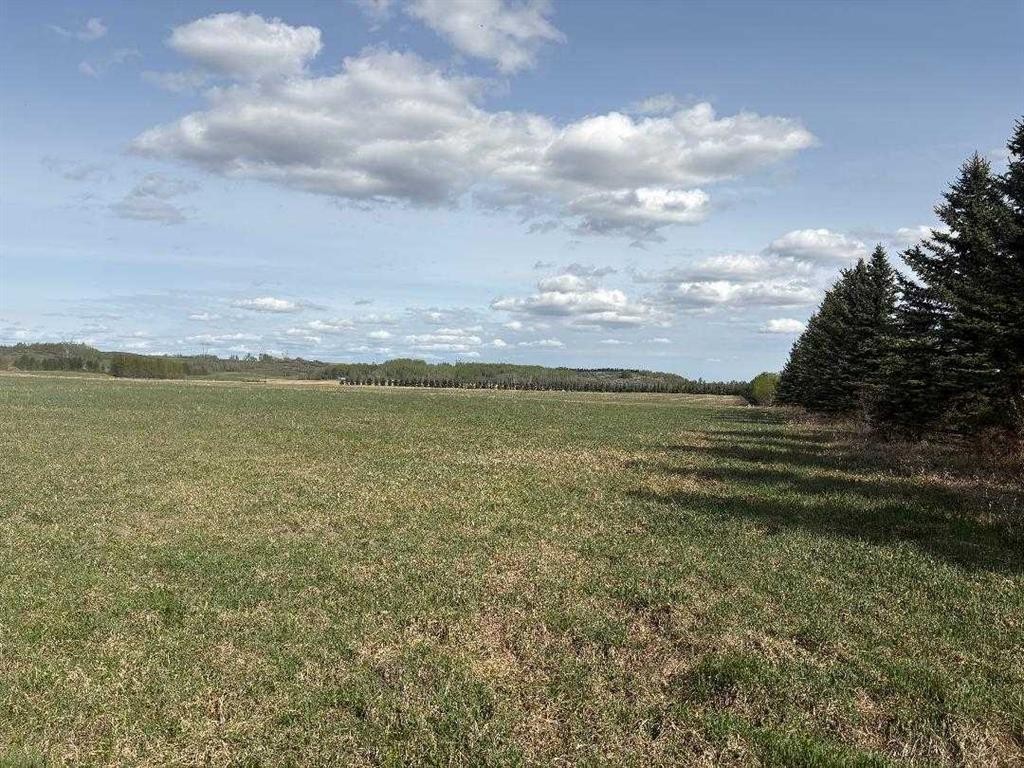 Twp 512A Rr 31, Rural Leduc County, AB