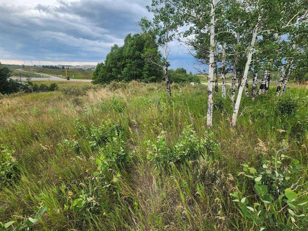 430 Cottageclub Cove, Rural Rocky View County, AB