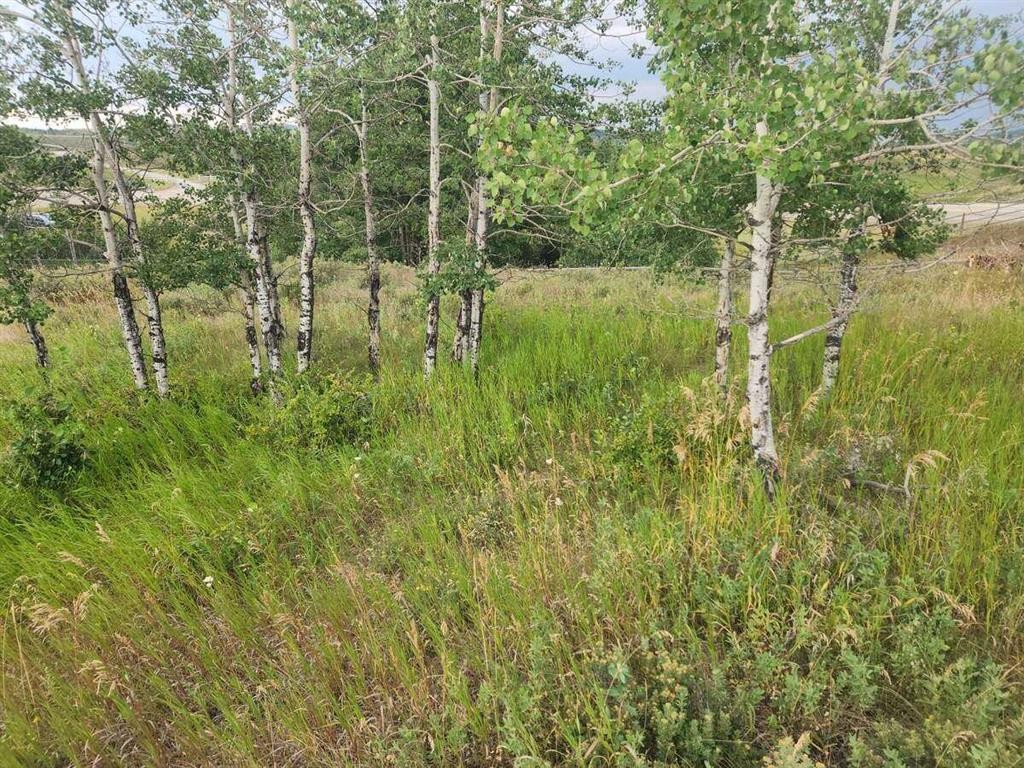 430 Cottageclub Cove, Rural Rocky View County, AB