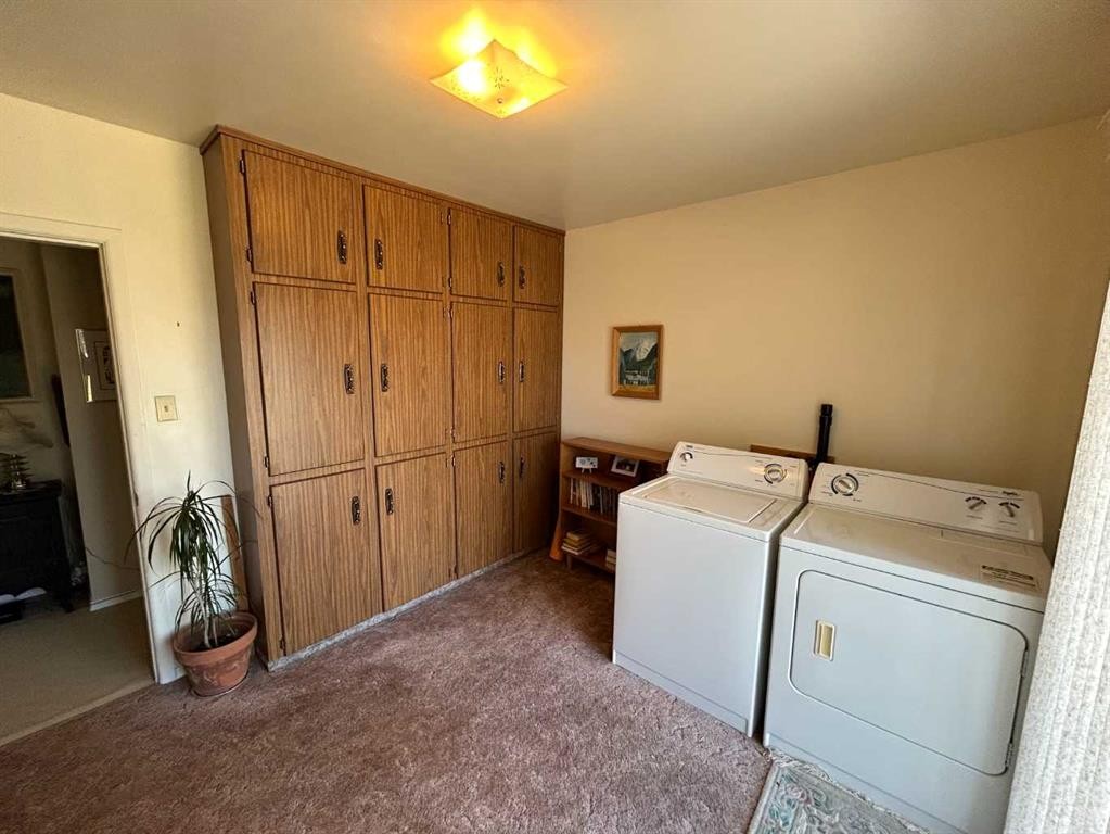 5405 50 Street, Castor, AB - Indoor Photo Showing Laundry Room