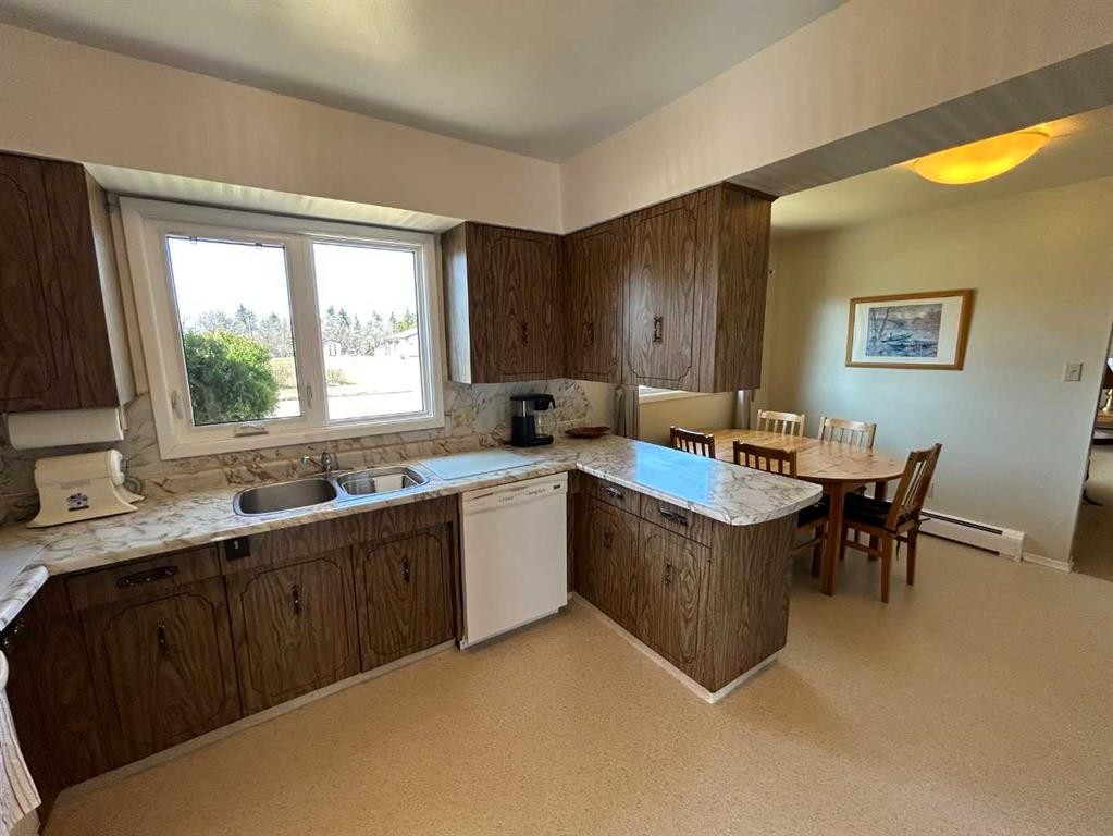 5405 50 Street, Castor, AB - Indoor Photo Showing Kitchen With Double Sink