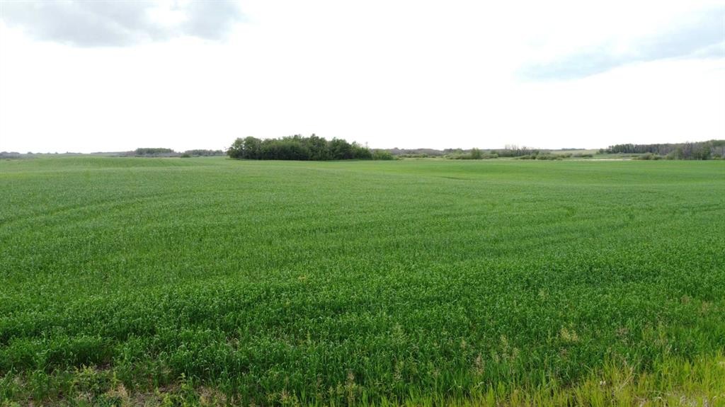 163 Range, Rural Beaver County, AB