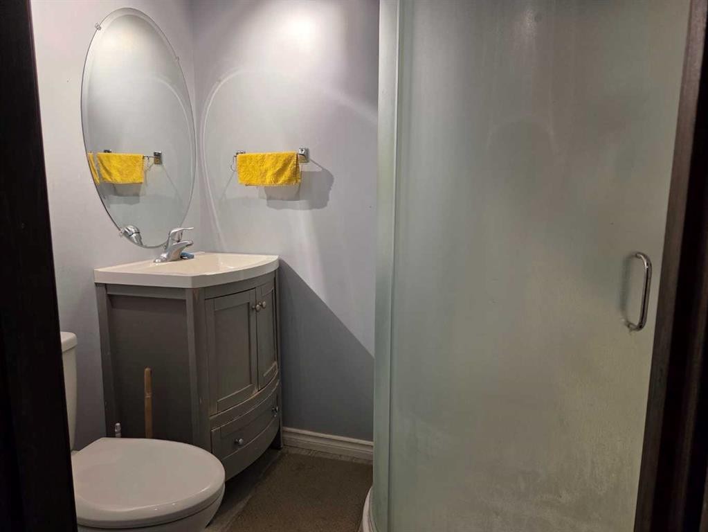 4421 44 Street, Castor, AB - Indoor Photo Showing Bathroom