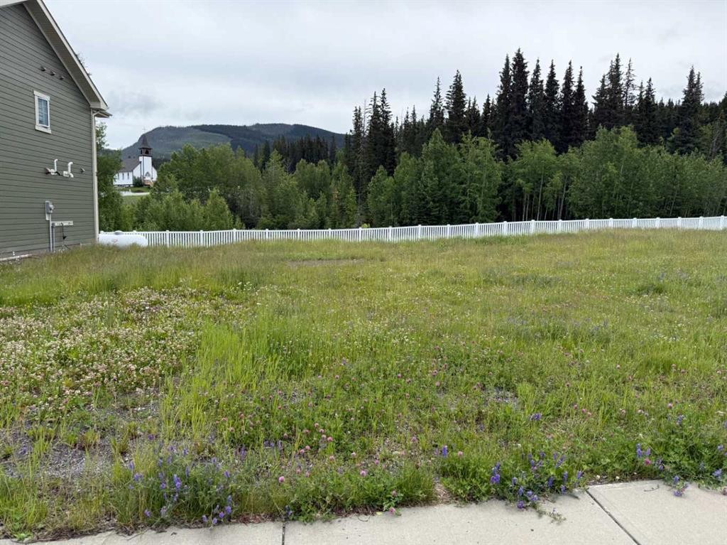 339 Elizabeth Avenue, Nordegg, AB