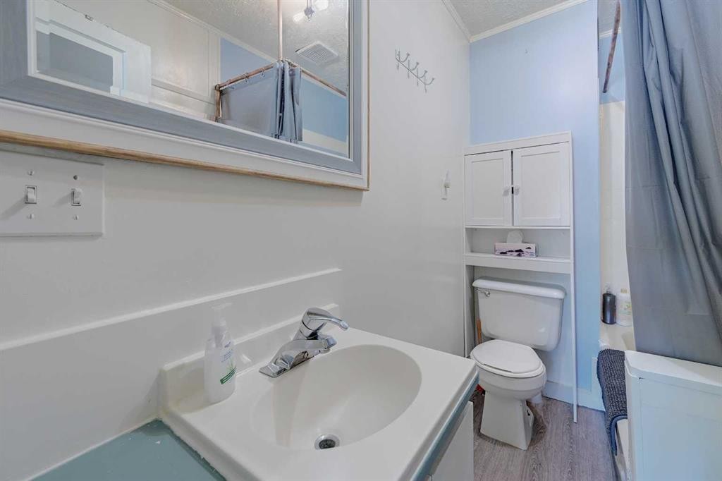 4738 50 Street East, Sylvan Lake, AB - Indoor Photo Showing Bathroom