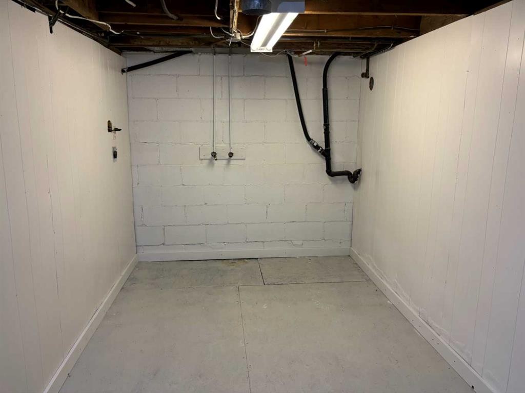 220 Lady Vivian Avenue West, Galahad, AB - Indoor Photo Showing Basement