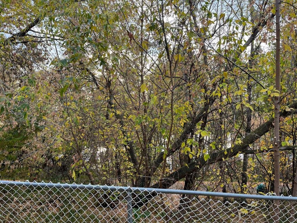 65 Leung Place, Blackfalds, AB - Outdoor