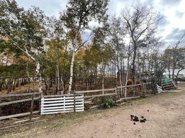 12229 Twp Rd 484, Rural Beaver County, AB - Outdoor