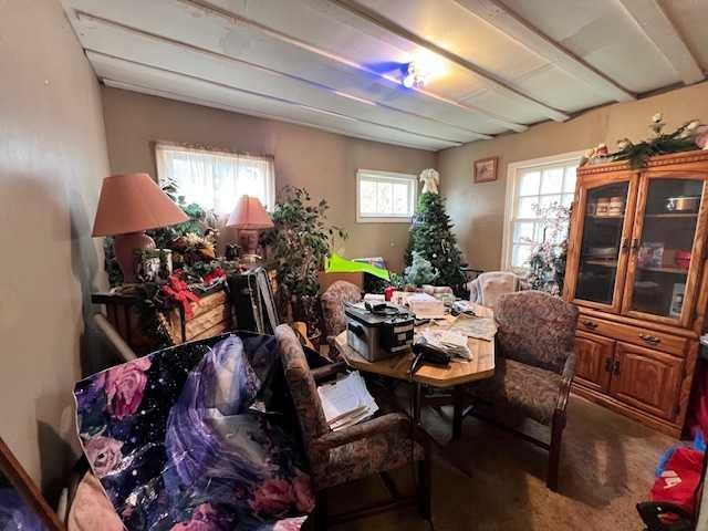 12229 Twp Rd 484, Rural Beaver County, AB - Indoor