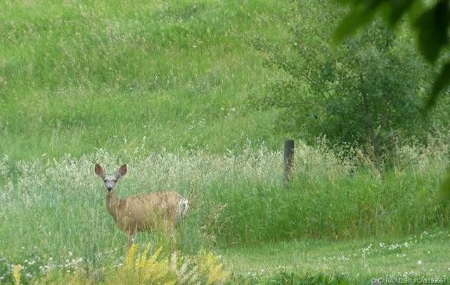 9-420069 Range Road 284, Rural Ponoka County, AB