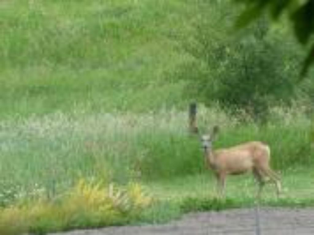 12-420069 Range Road 284, Rural Ponoka County, AB