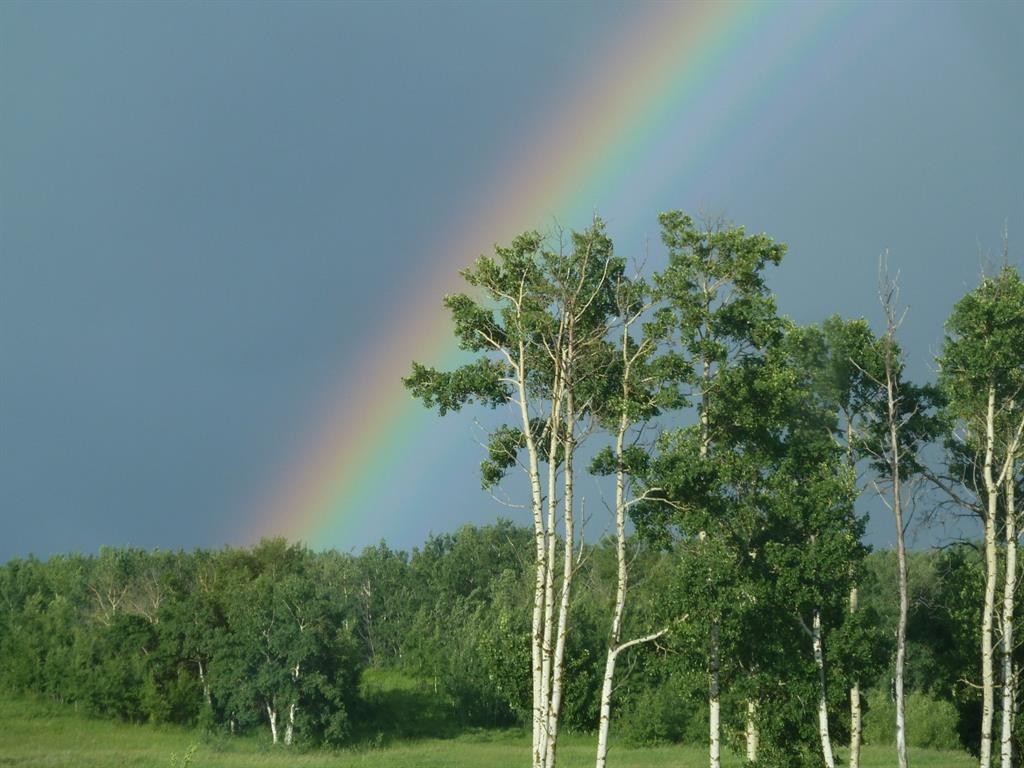 12-420069 Range Road 284, Rural Ponoka County, AB