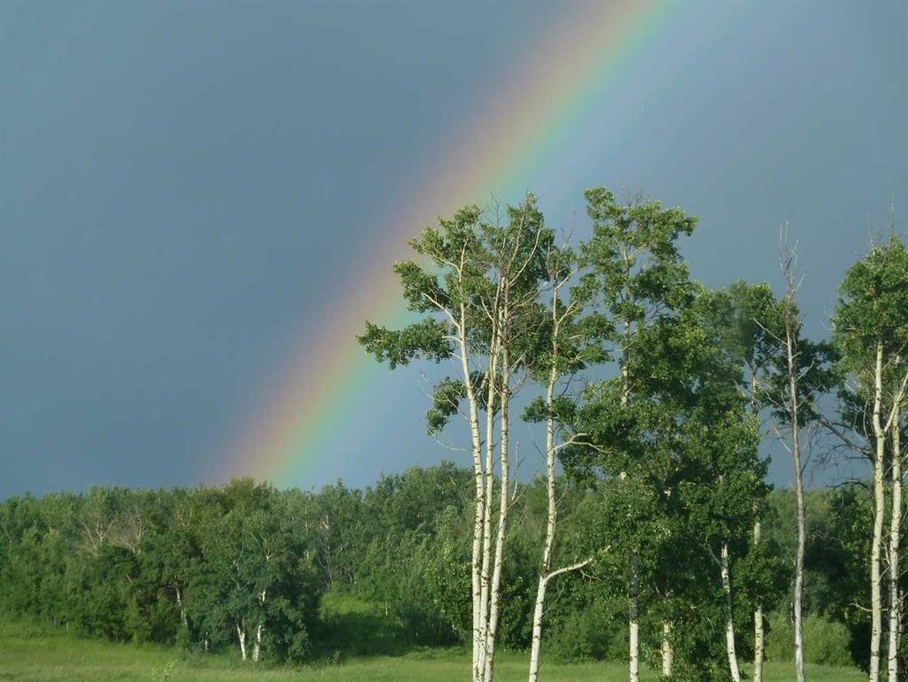 11-420069 Range Road 284, Rural Ponoka County, AB
