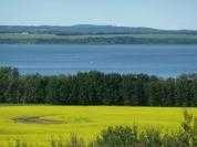 11-420069 Range Road 284, Rural Ponoka County, AB