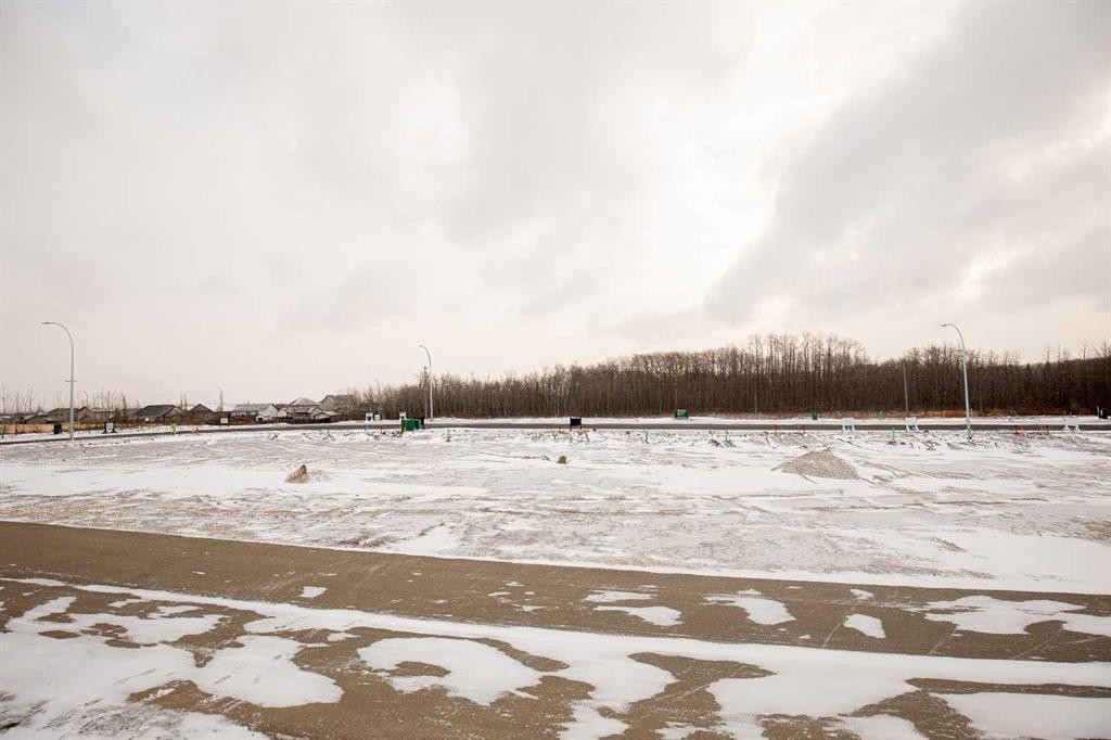 116 Gray Close, Sylvan Lake, AB - Outdoor With View