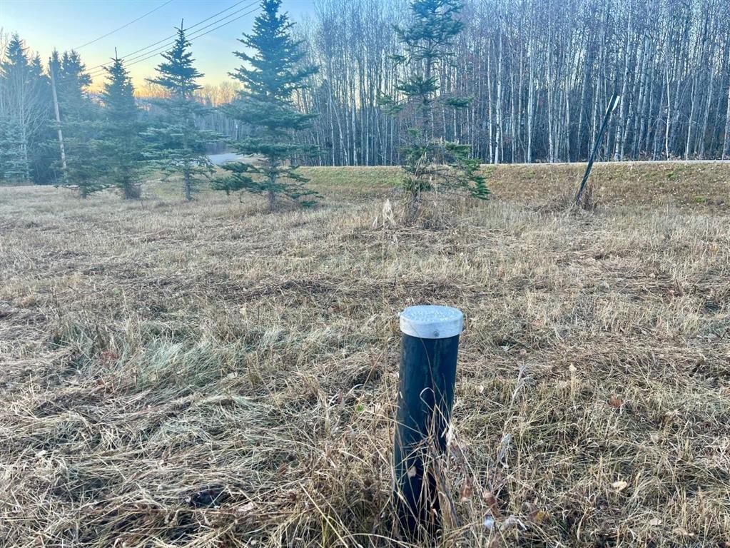 On Zion Road, Rural Clearwater County, AB