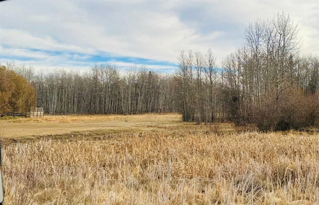 375053A Range Road 5-5, Rural Clearwater County, AB - Outdoor With View