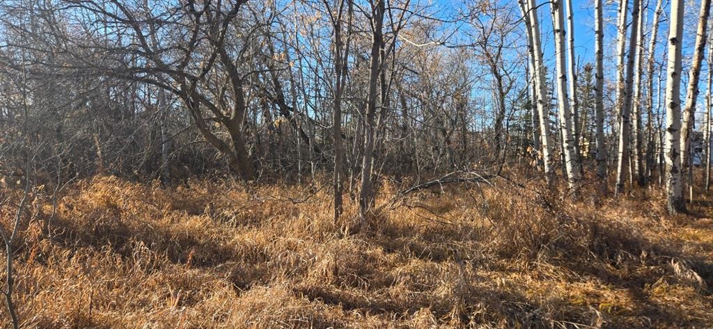 4832 46 Street, Mirror, AB