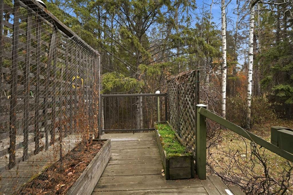 49 Pamely Avenue, Red Deer, AB - Outdoor