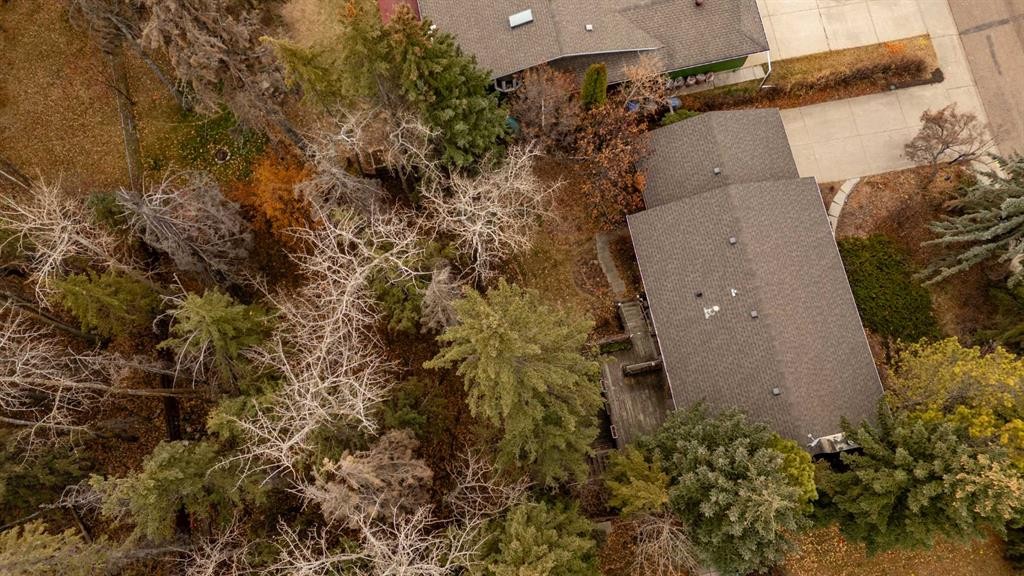 49 Pamely Avenue, Red Deer, AB - Outdoor