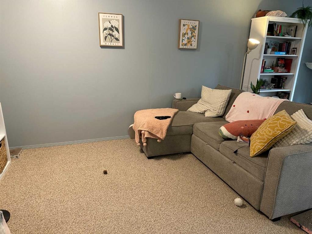 A & B-4923 53 Street, Rocky Mountain House, AB - Indoor