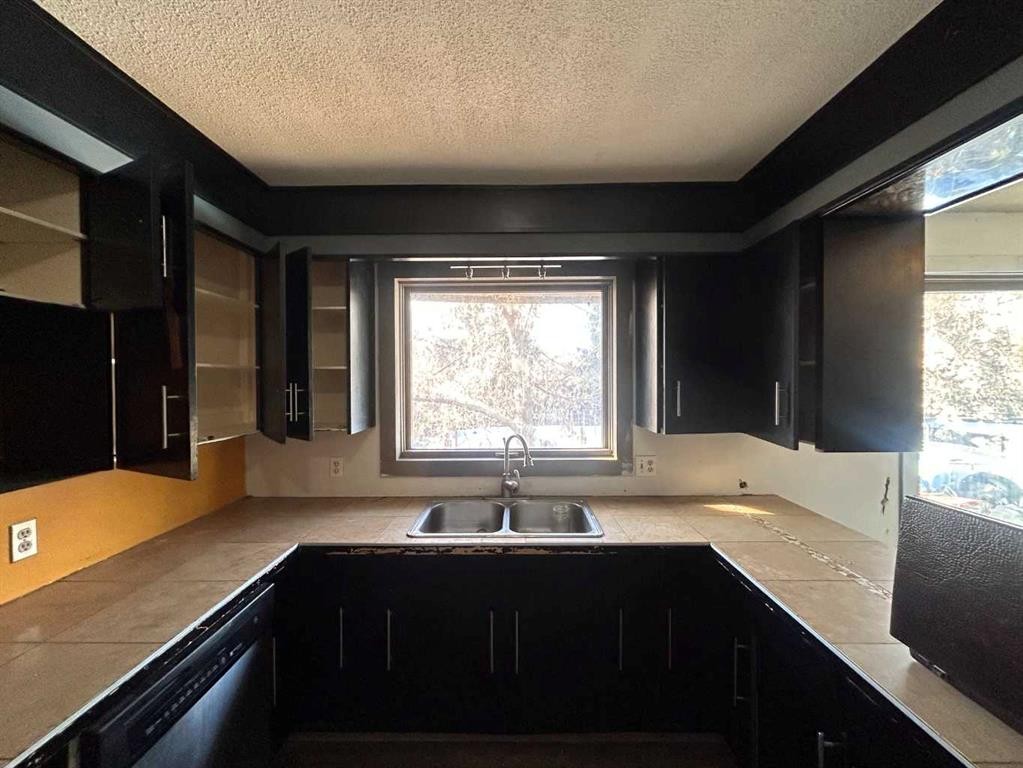 3 Meadowlark Drive, Sedgewick, AB - Indoor Photo Showing Kitchen With Double Sink