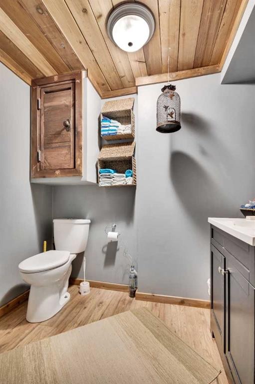 4824 50 Street, Clive, AB - Indoor Photo Showing Bathroom