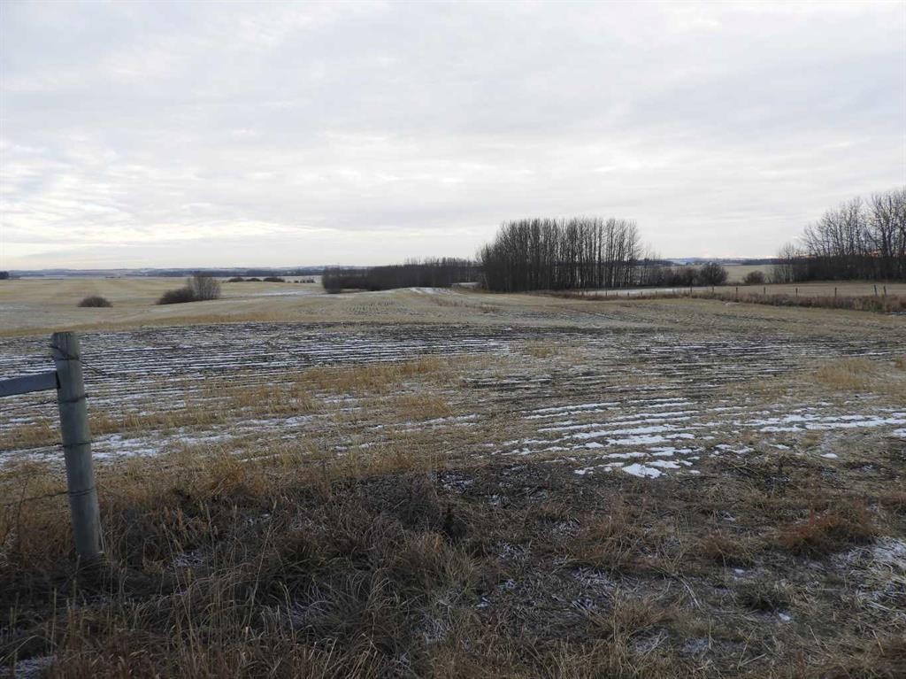 Near Clive, Rural Lacombe County, AB