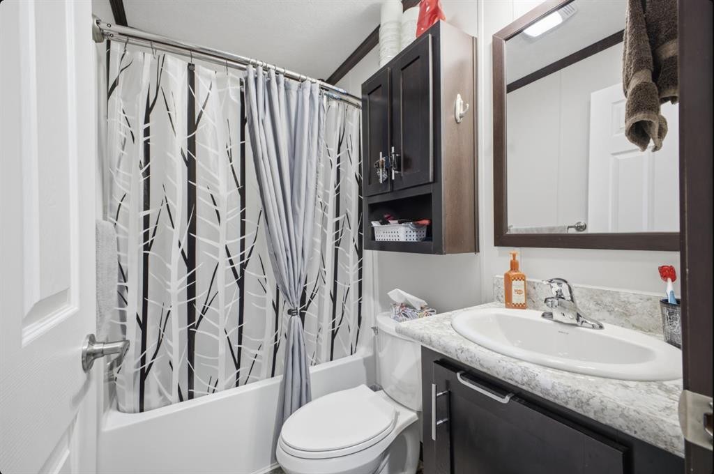 40-41019 Range Road 11, Rural Lacombe County, AB - Indoor Photo Showing Bathroom