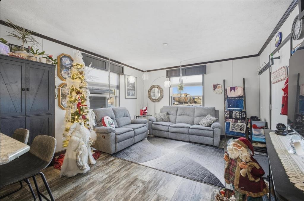 40-41019 Range Road 11, Rural Lacombe County, AB - Indoor Photo Showing Living Room