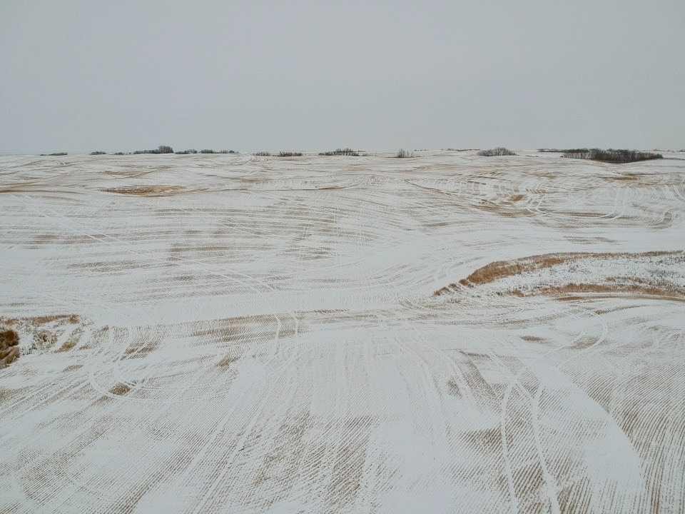 On Township Road 484, Rural Beaver County, AB